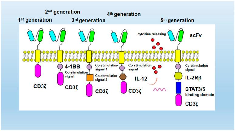 https://cdn.ncbi.nlm.nih.gov/pmc/blobs/8465/11989270/640d9a5dd272/ijms-26-03206-g001.jpg