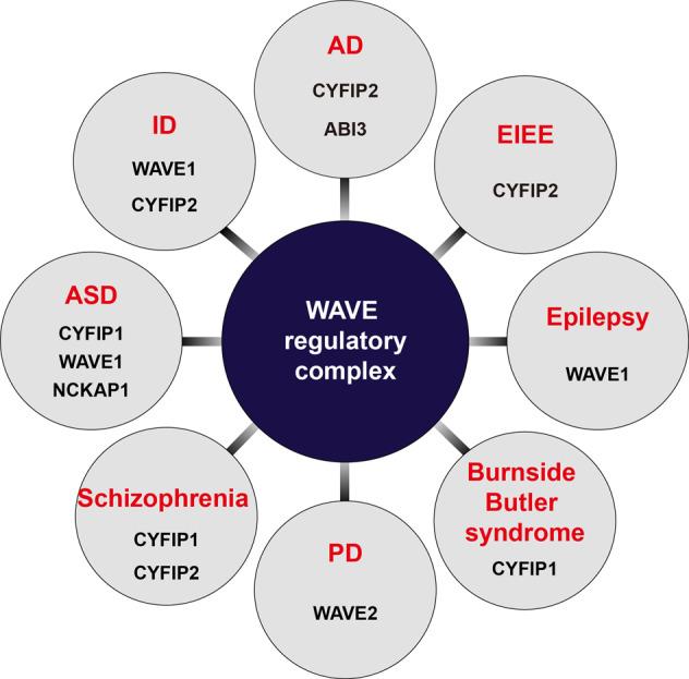 https://cdn.ncbi.nlm.nih.gov/pmc/blobs/8468/10318009/e5c7bb987d9b/12276_2023_1004_Fig3_HTML.jpg