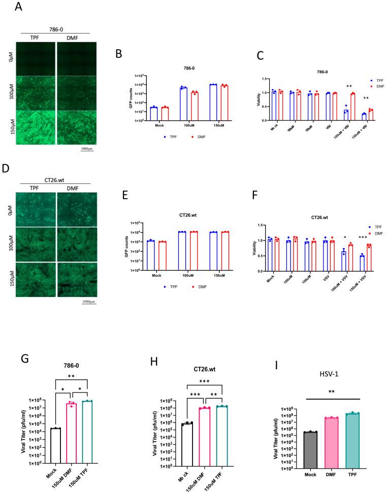 https://cdn.ncbi.nlm.nih.gov/pmc/blobs/8468/11209164/398022f68a95/viruses-16-00920-g002.jpg