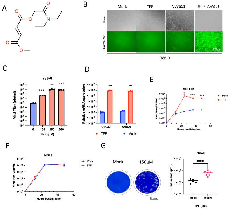 https://cdn.ncbi.nlm.nih.gov/pmc/blobs/8468/11209164/9352559aa66d/viruses-16-00920-g001.jpg