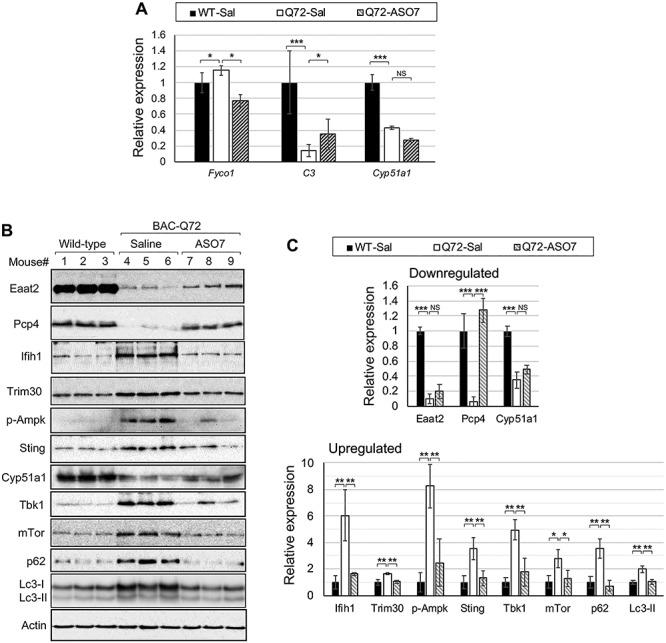 https://cdn.ncbi.nlm.nih.gov/pmc/blobs/846b/7322574/03125ac3c9dc/ddaa072f4.jpg