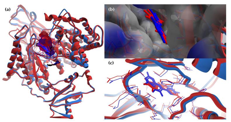 https://cdn.ncbi.nlm.nih.gov/pmc/blobs/846c/10376860/ef8618ba7cac/antioxidants-12-01383-g008.jpg