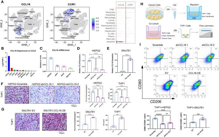 https://cdn.ncbi.nlm.nih.gov/pmc/blobs/846c/10808667/b34e480e2a33/fimmu-14-1299953-g006.jpg