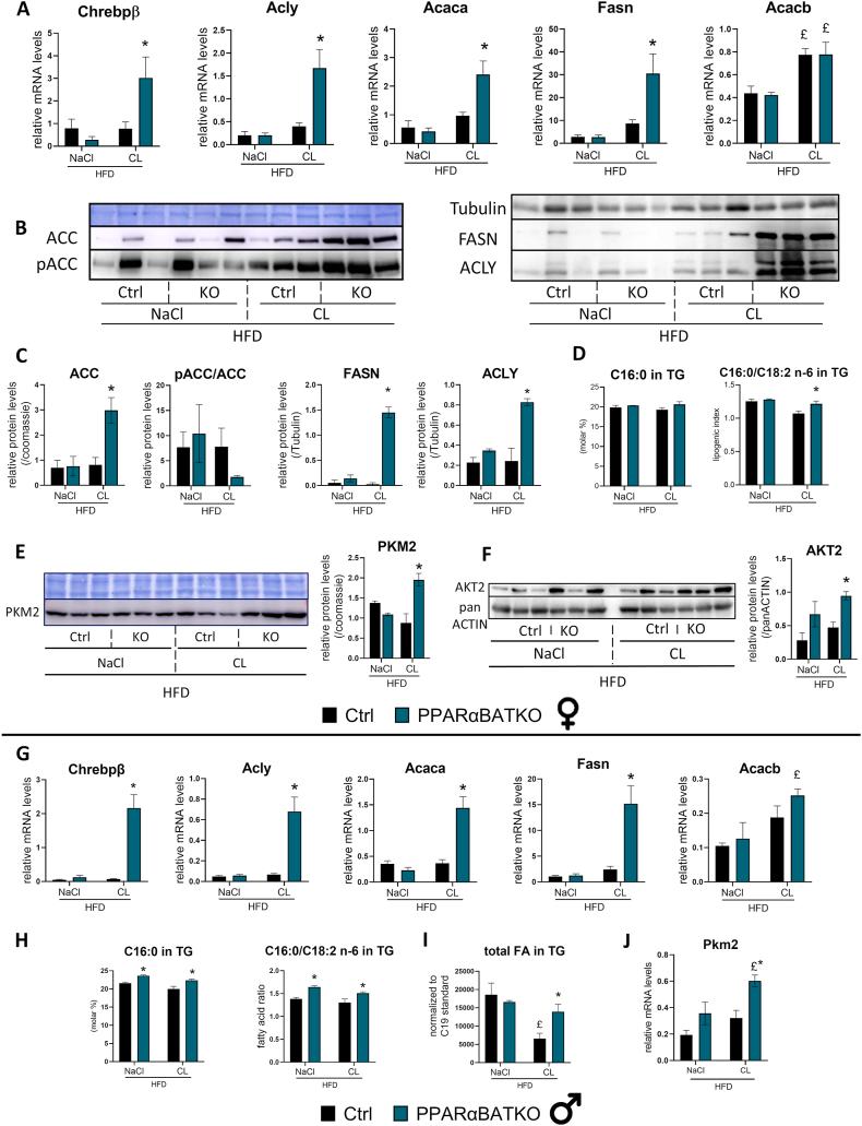 https://cdn.ncbi.nlm.nih.gov/pmc/blobs/846d/12221382/35300f50da4e/gr4.jpg