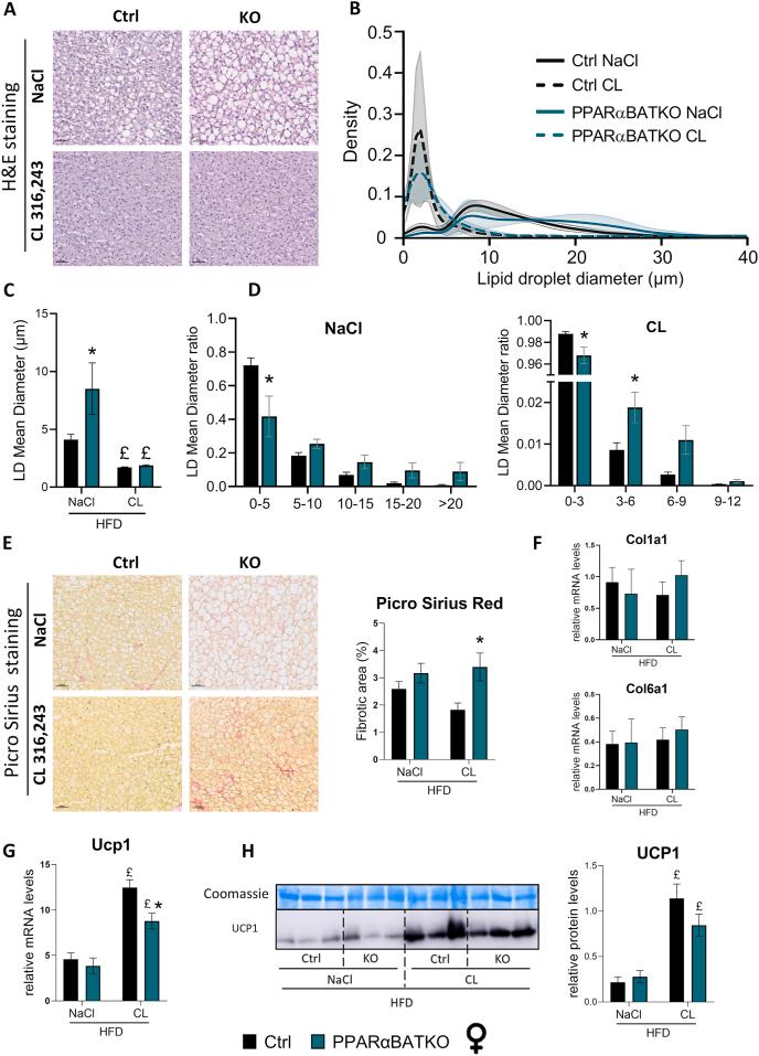 https://cdn.ncbi.nlm.nih.gov/pmc/blobs/846d/12221382/3b639a86a8d4/gr3.jpg