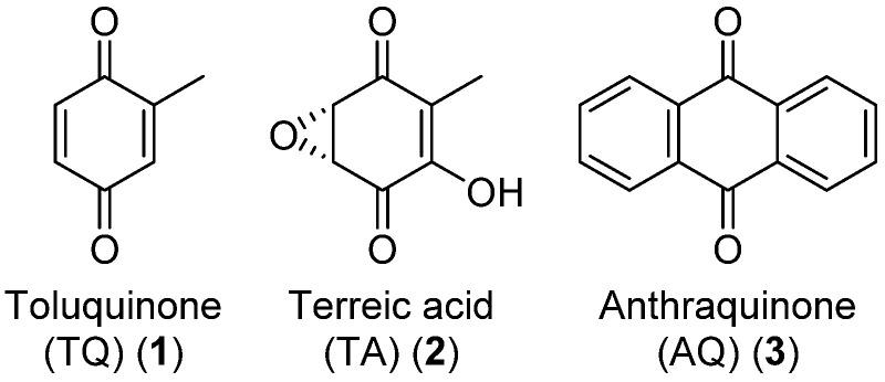 https://cdn.ncbi.nlm.nih.gov/pmc/blobs/846d/9405642/b0366a43bc19/biomolecules-12-01041-g001.jpg