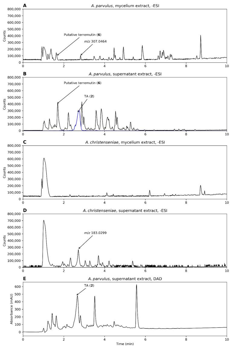 https://cdn.ncbi.nlm.nih.gov/pmc/blobs/846d/9405642/df1393563f92/biomolecules-12-01041-g005.jpg