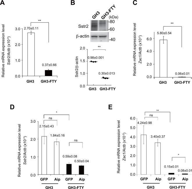 https://cdn.ncbi.nlm.nih.gov/pmc/blobs/846e/5051713/7308c5fb37fa/pone.0164131.g005.jpg