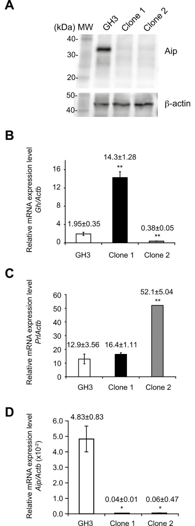 https://cdn.ncbi.nlm.nih.gov/pmc/blobs/846e/5051713/bcc44708da68/pone.0164131.g001.jpg