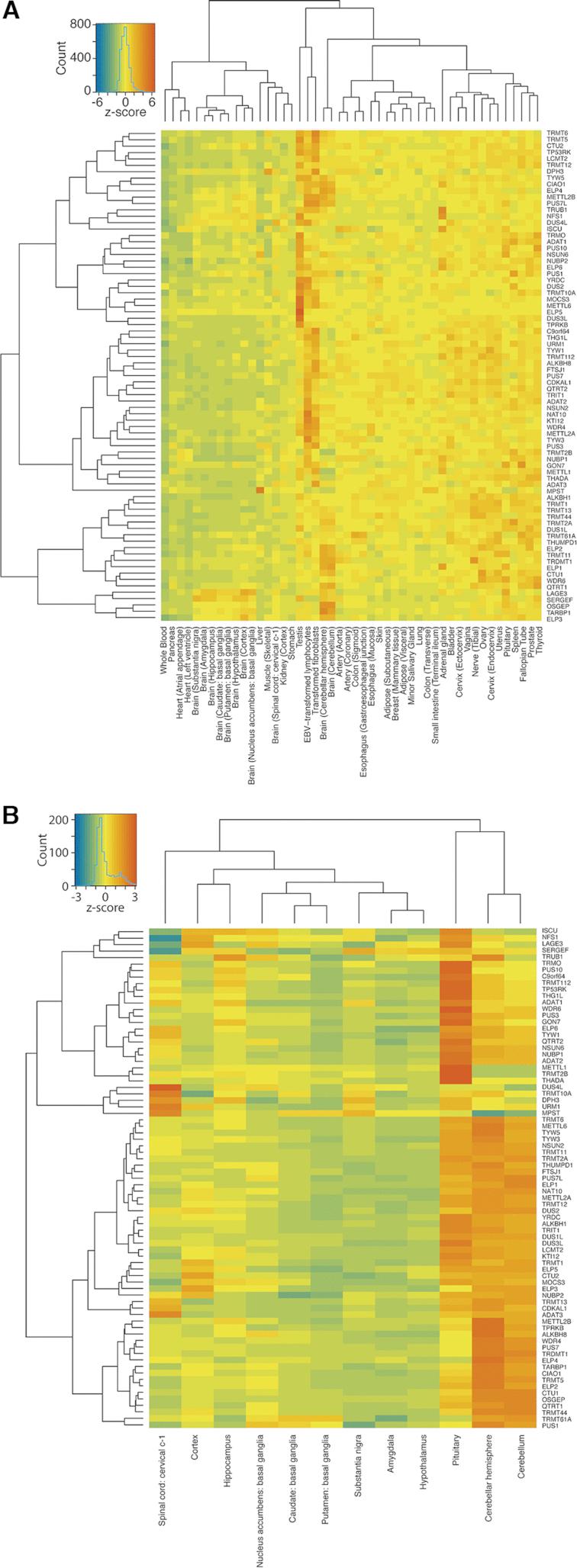 https://cdn.ncbi.nlm.nih.gov/pmc/blobs/846f/6412123/20cef698ef4f/gkz011fig3.jpg