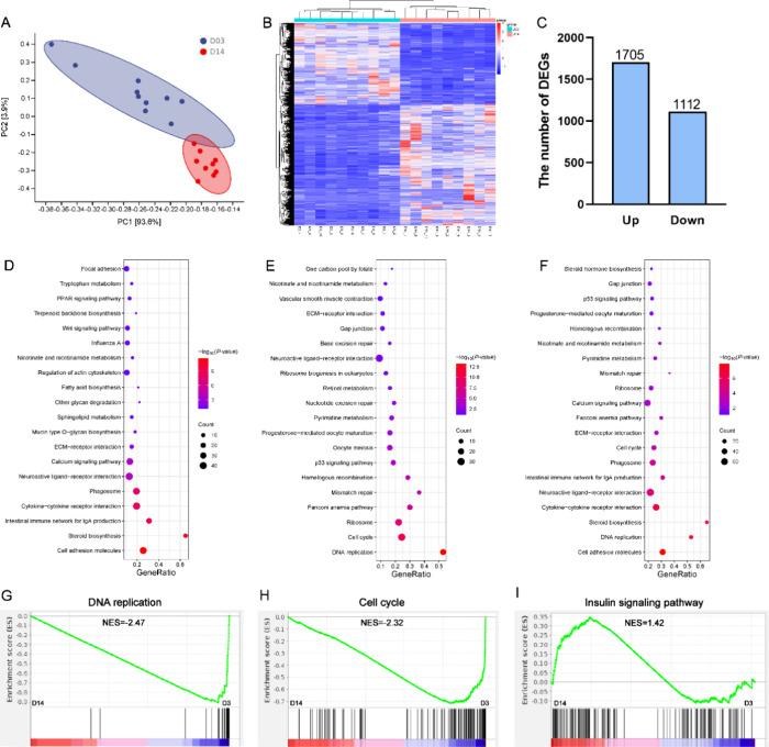 https://cdn.ncbi.nlm.nih.gov/pmc/blobs/8470/11565640/4b7d35a1badb/jf4c06867_0002.jpg