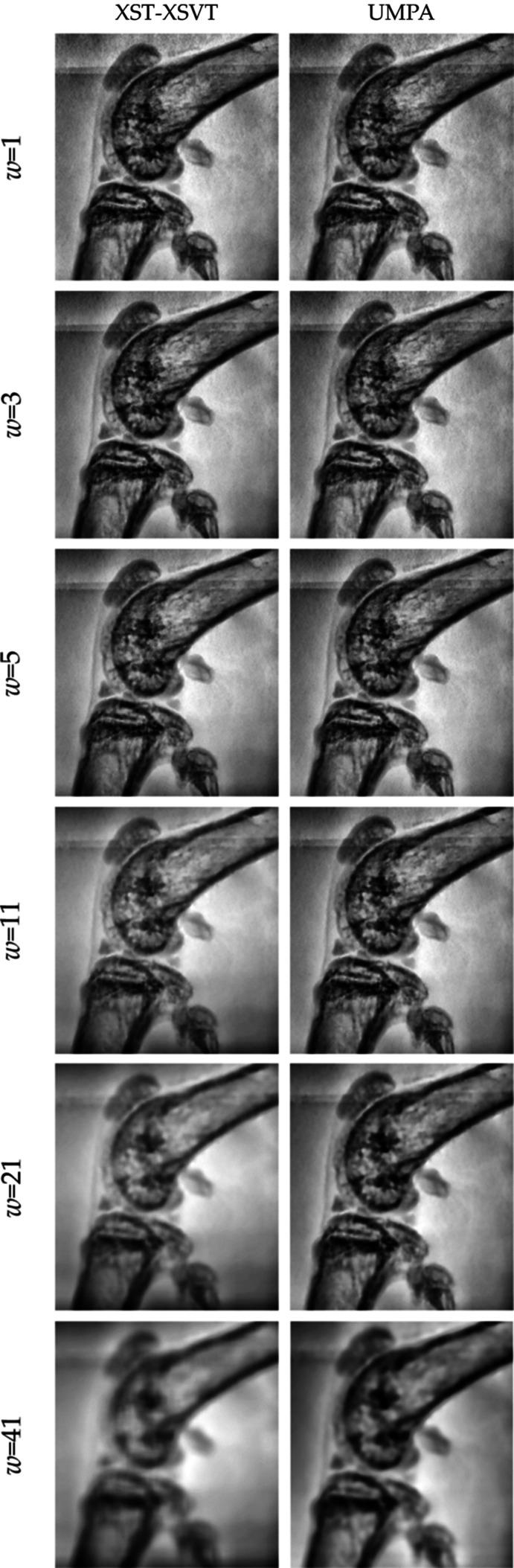 https://cdn.ncbi.nlm.nih.gov/pmc/blobs/8472/11708844/1ac353ef961c/s-32-00180-fig11.jpg