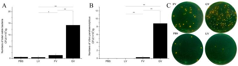 https://cdn.ncbi.nlm.nih.gov/pmc/blobs/8473/8145222/1cad3efacc89/marinedrugs-19-00250-g005.jpg