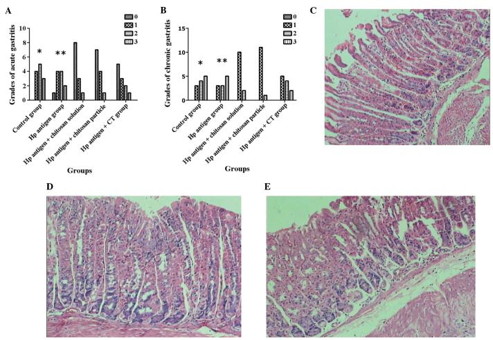 https://cdn.ncbi.nlm.nih.gov/pmc/blobs/8475/4526086/98e4e50b3bba/MMR-12-03-4123-g02.jpg