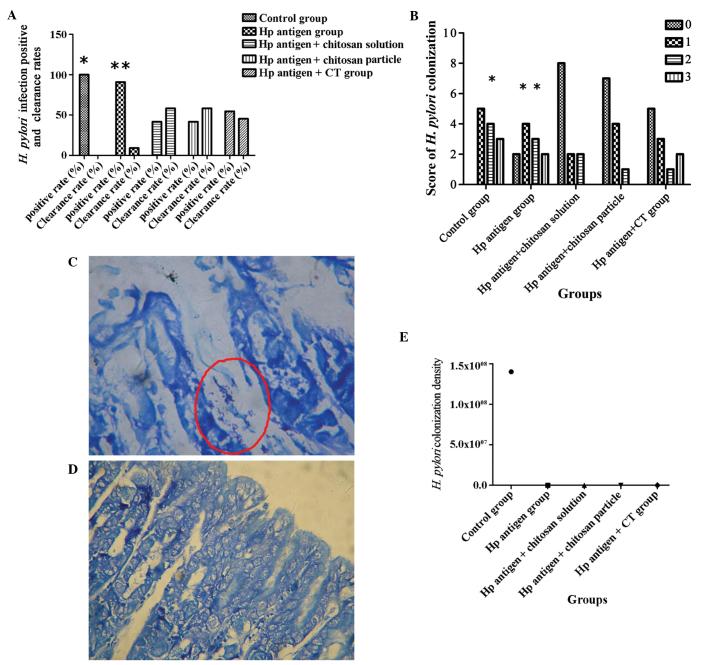 https://cdn.ncbi.nlm.nih.gov/pmc/blobs/8475/4526086/bb3f7961d699/MMR-12-03-4123-g01.jpg