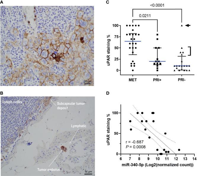 https://cdn.ncbi.nlm.nih.gov/pmc/blobs/8475/9035872/8e8af8900fe6/fonc-12-835929-g005.jpg