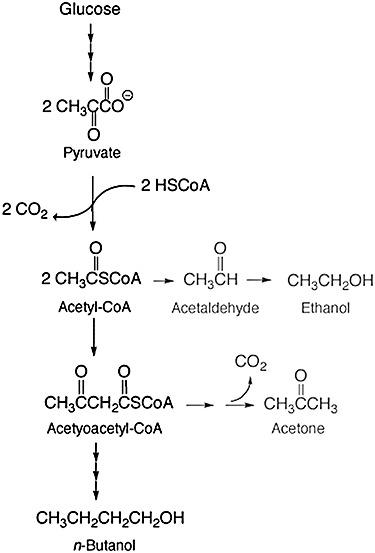 https://cdn.ncbi.nlm.nih.gov/pmc/blobs/8476/3815883/f31c02de3077/mbt0001-0211-f2.jpg