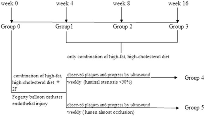 https://cdn.ncbi.nlm.nih.gov/pmc/blobs/847a/5539241/28d8a007a2cf/41598_2017_6127_Fig1_HTML.jpg