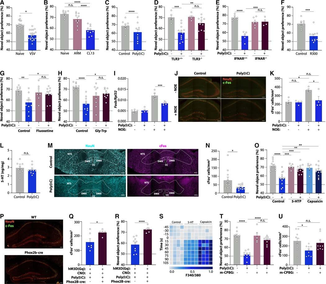 https://cdn.ncbi.nlm.nih.gov/pmc/blobs/8483/11227373/aa097a416972/nihms-1937987-f0007.jpg