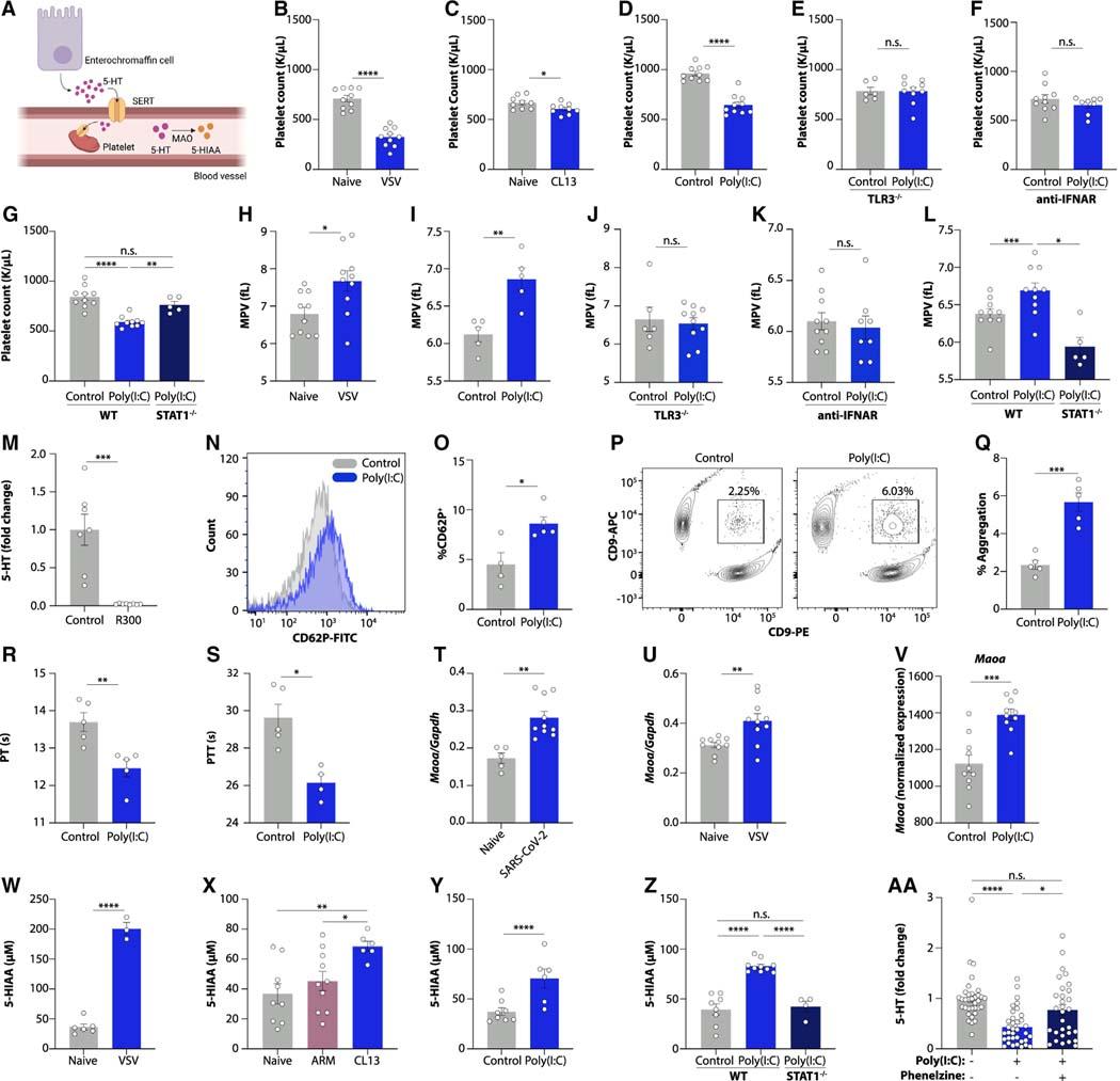https://cdn.ncbi.nlm.nih.gov/pmc/blobs/8483/11227373/bb31b9767bb8/nihms-1937987-f0006.jpg
