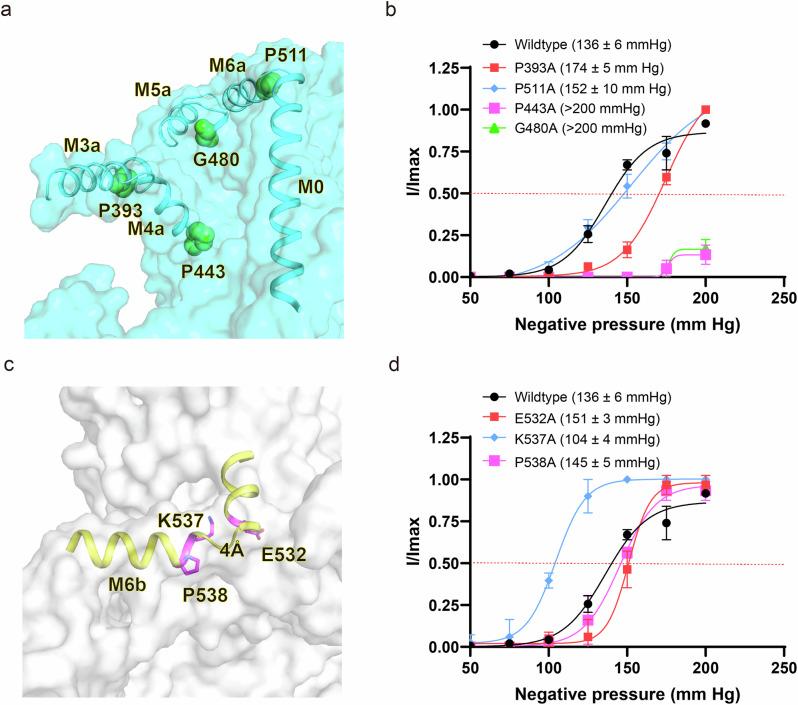 https://cdn.ncbi.nlm.nih.gov/pmc/blobs/8483/11362595/28fbe8afd1e9/41467_2024_51800_Fig7_HTML.jpg