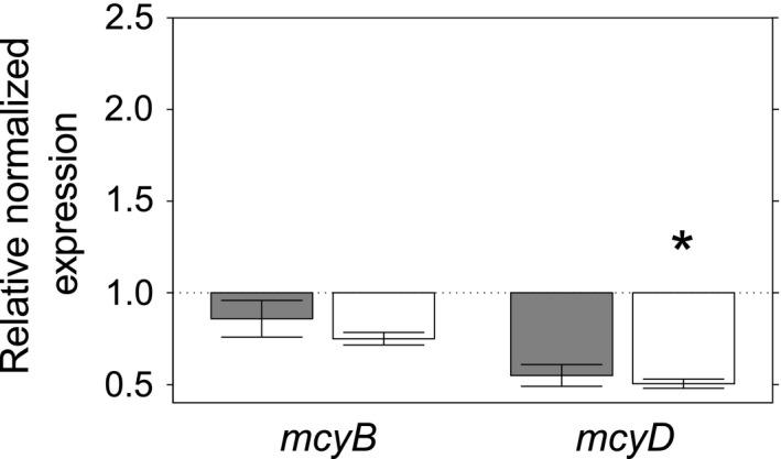 https://cdn.ncbi.nlm.nih.gov/pmc/blobs/8483/5822348/cc2cdf420a02/MBO3-7-na-g002.jpg