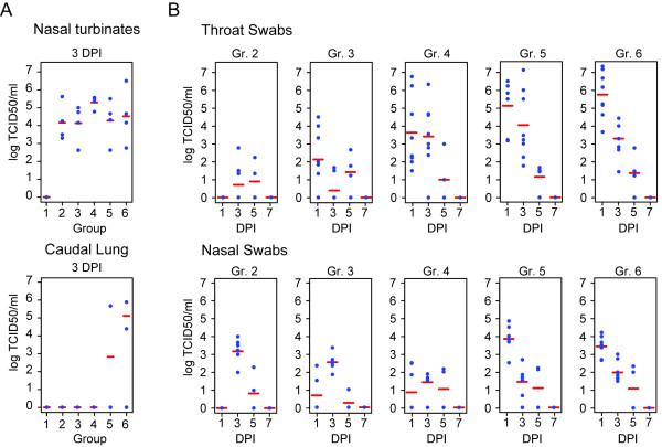 https://cdn.ncbi.nlm.nih.gov/pmc/blobs/8486/2909963/76772be12586/1743-422X-7-149-2.jpg