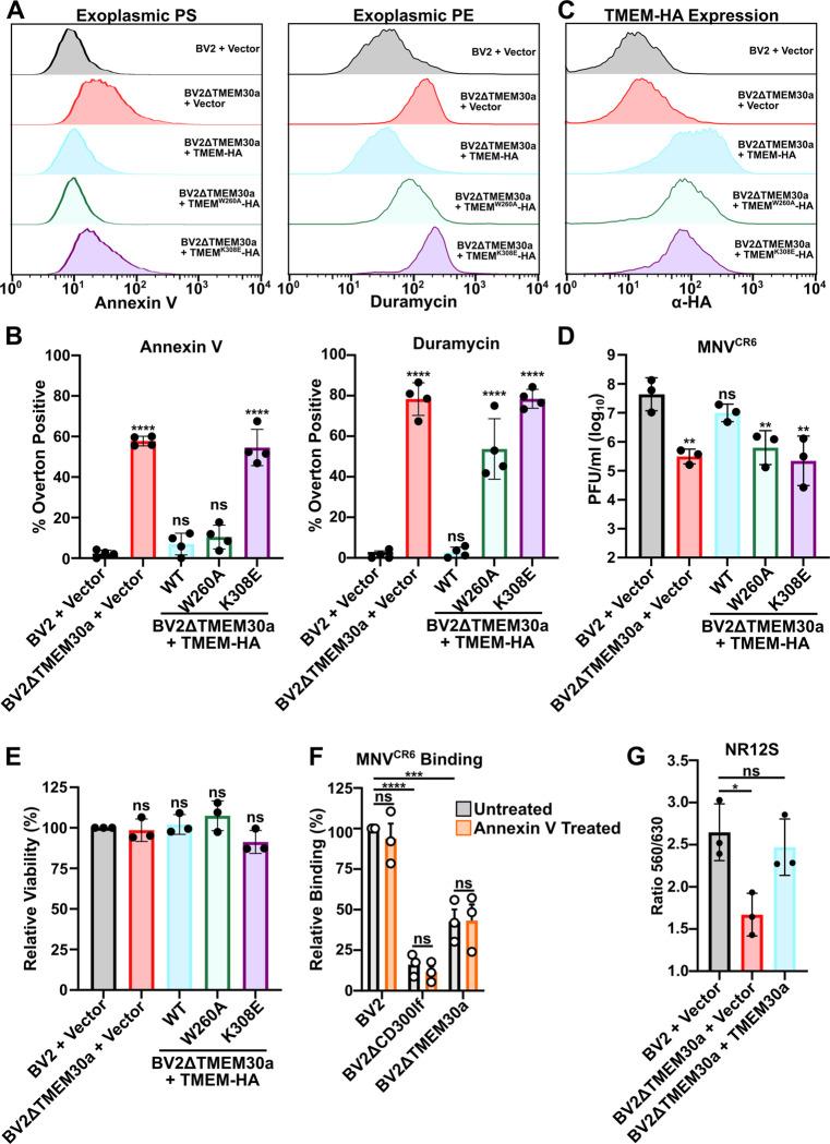 https://cdn.ncbi.nlm.nih.gov/pmc/blobs/8487/12052208/54ed61b67d8b/pbio.3003147.g003.jpg