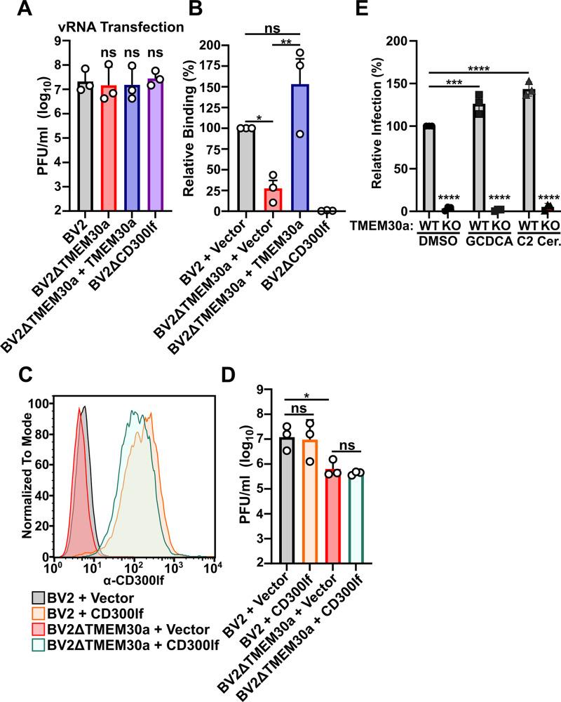 https://cdn.ncbi.nlm.nih.gov/pmc/blobs/8487/12052208/ae95d86f2604/pbio.3003147.g002.jpg