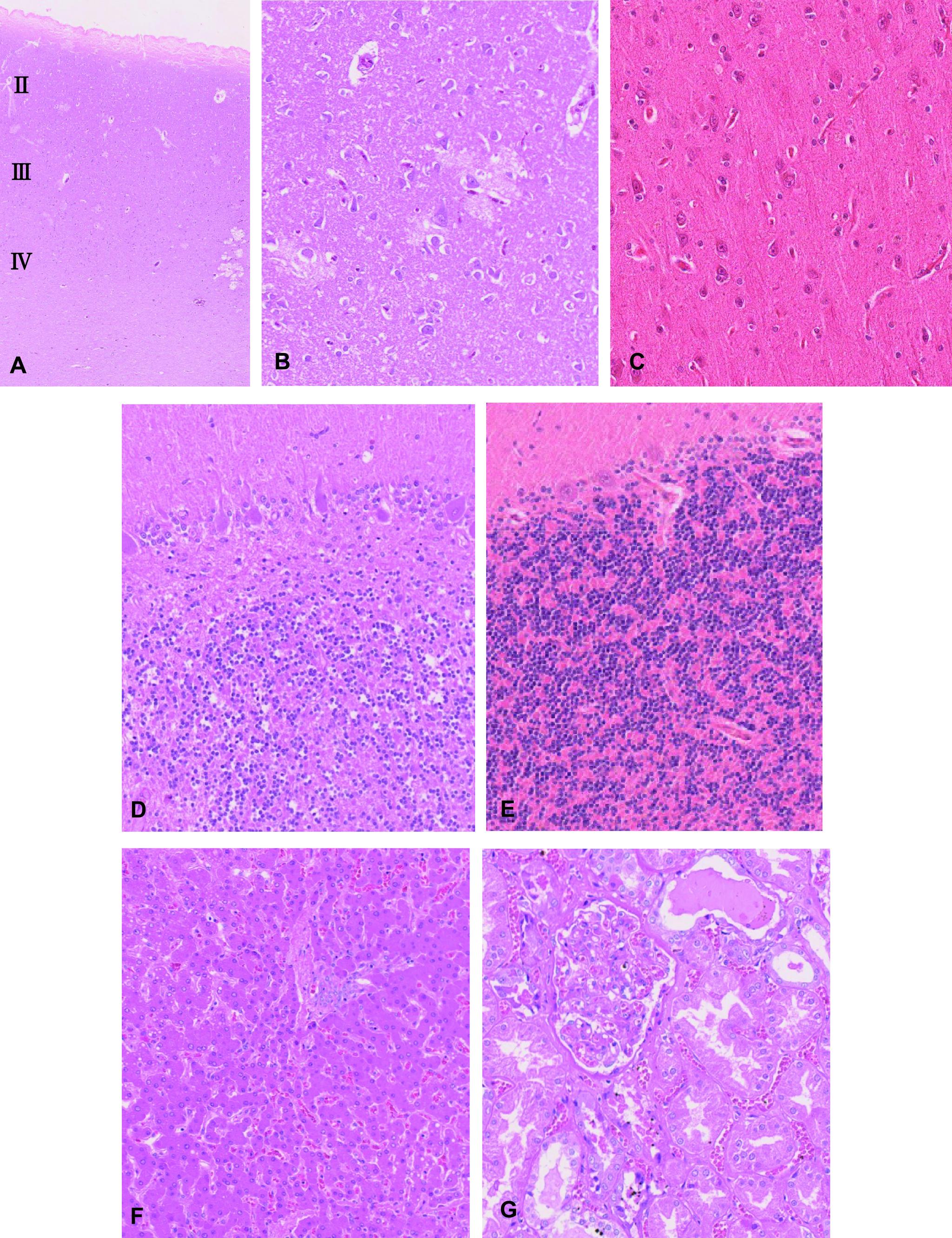 https://cdn.ncbi.nlm.nih.gov/pmc/blobs/8487/7785461/fd397501378e/AHC20-00009f01.jpg