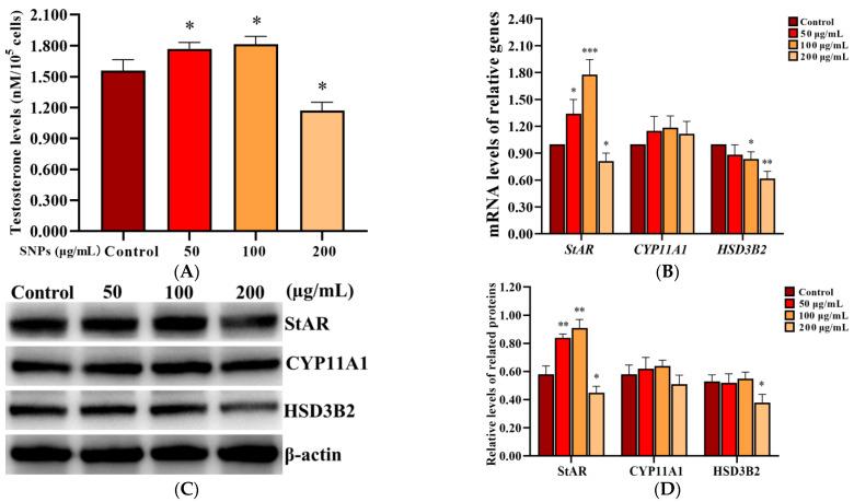 https://cdn.ncbi.nlm.nih.gov/pmc/blobs/848a/8949068/ff6d4d08a0a7/ijms-23-03104-g005.jpg