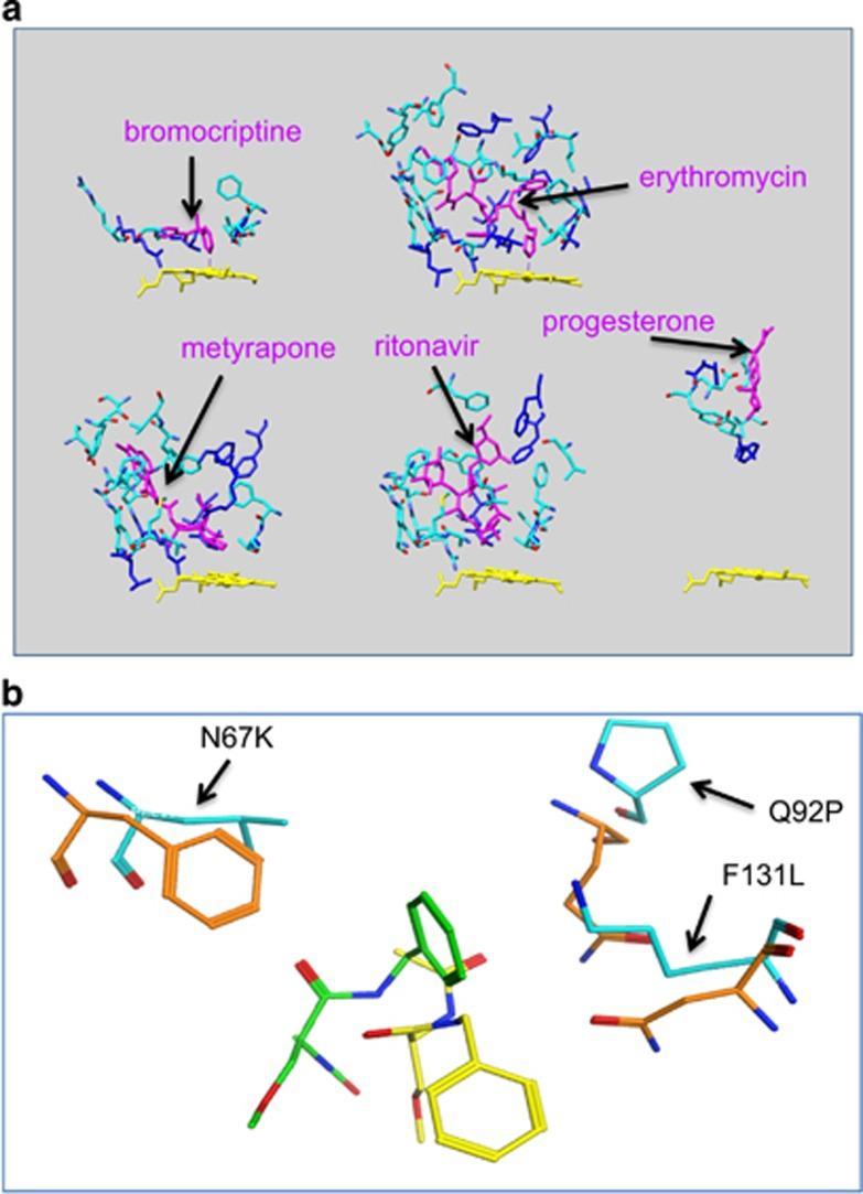 https://cdn.ncbi.nlm.nih.gov/pmc/blobs/848b/5380835/bb6915b5658d/tpj201597f6.jpg