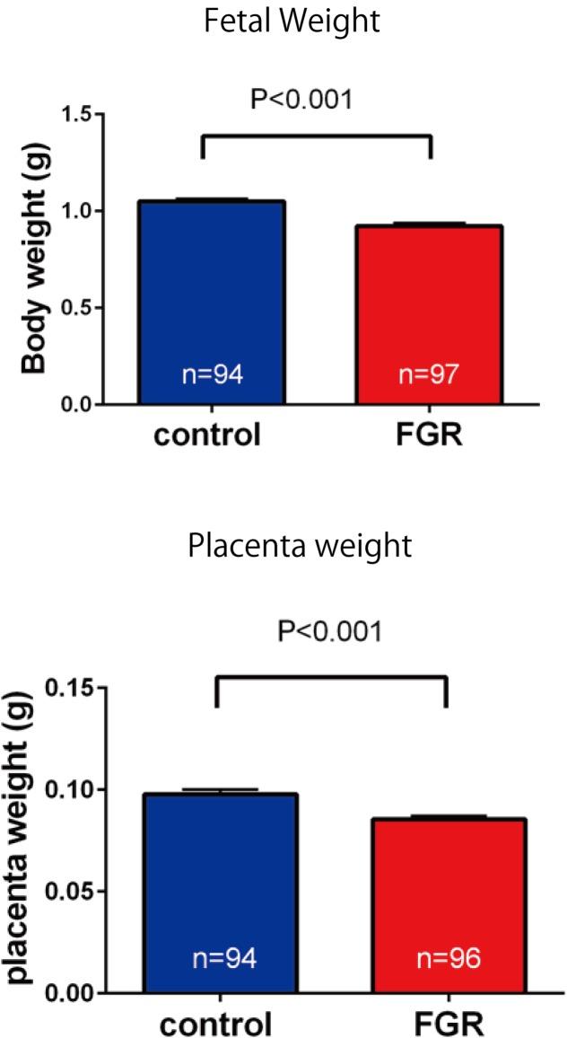 https://cdn.ncbi.nlm.nih.gov/pmc/blobs/848b/5968166/9ce5c99cf1cf/fphys-09-00478-g004.jpg