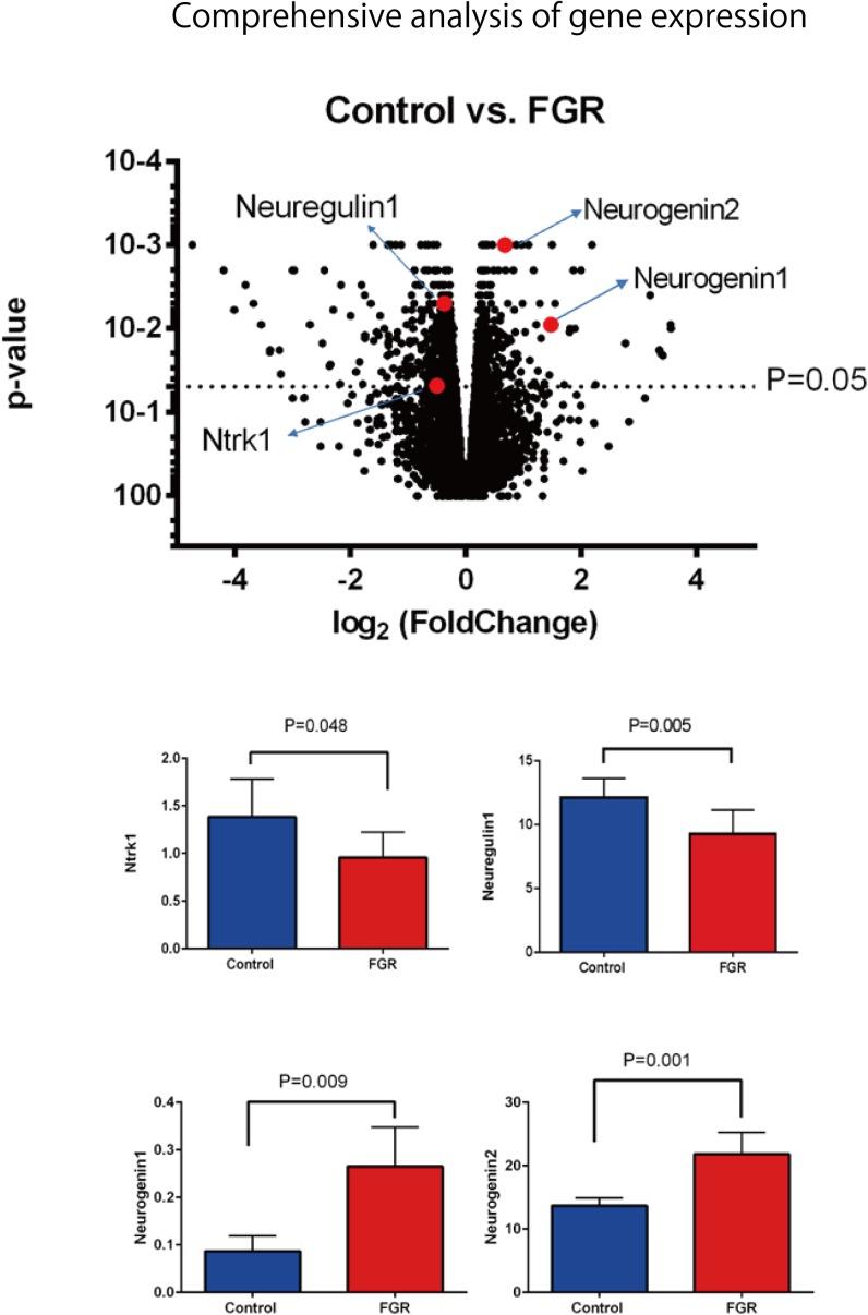 https://cdn.ncbi.nlm.nih.gov/pmc/blobs/848b/5968166/cbf870debfc9/fphys-09-00478-g010.jpg