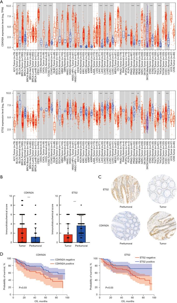 https://cdn.ncbi.nlm.nih.gov/pmc/blobs/848c/11231866/52728bc14dc7/jgo-15-03-1020-f6.jpg