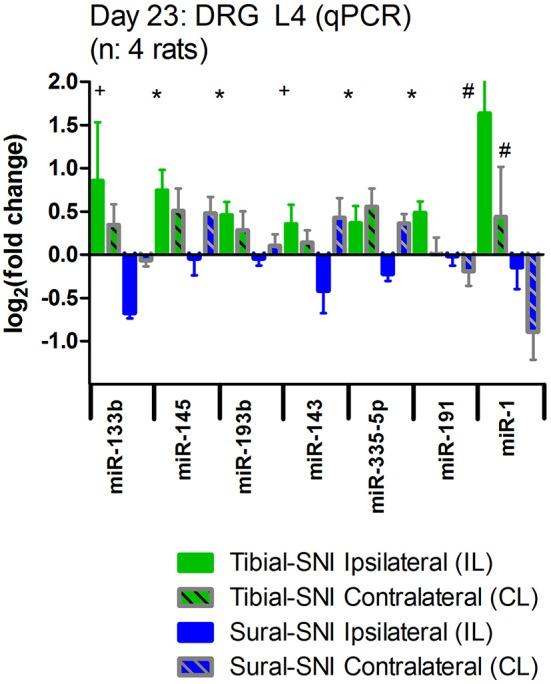 https://cdn.ncbi.nlm.nih.gov/pmc/blobs/848c/4148822/aa1f318f3bb2/fnins-08-00266-g0005.jpg