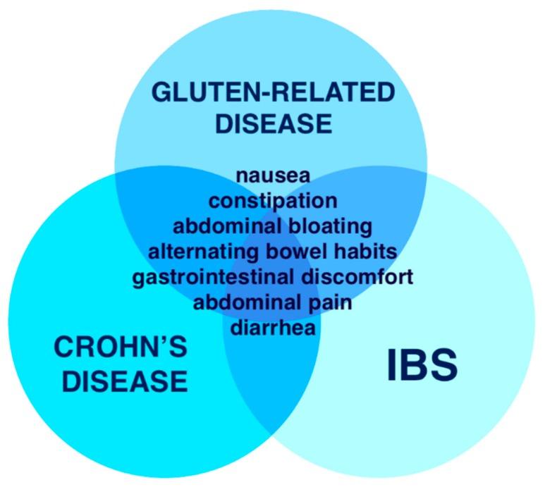 https://cdn.ncbi.nlm.nih.gov/pmc/blobs/848e/6630947/18c57d5edace/medicina-55-00222-g003.jpg