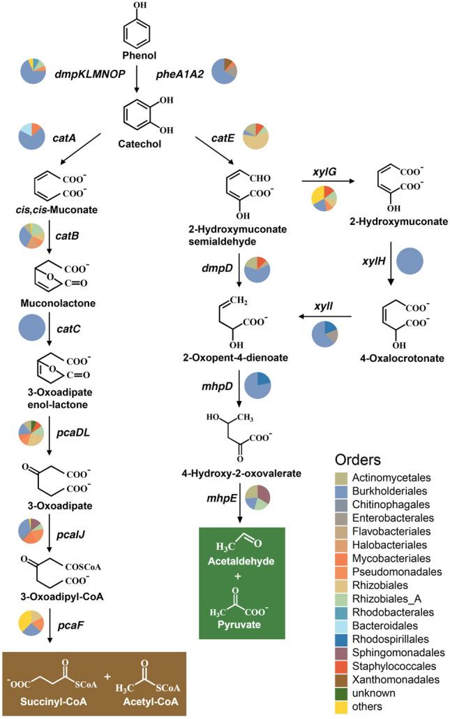 https://cdn.ncbi.nlm.nih.gov/pmc/blobs/848f/11136905/94977799a80b/42995_2024_224_Fig4_HTML.jpg