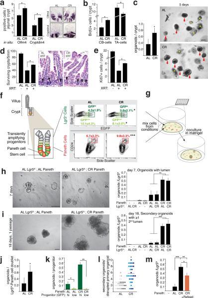 https://cdn.ncbi.nlm.nih.gov/pmc/blobs/848f/3387287/ccf513c22d5a/nihms-373647-f0001.jpg