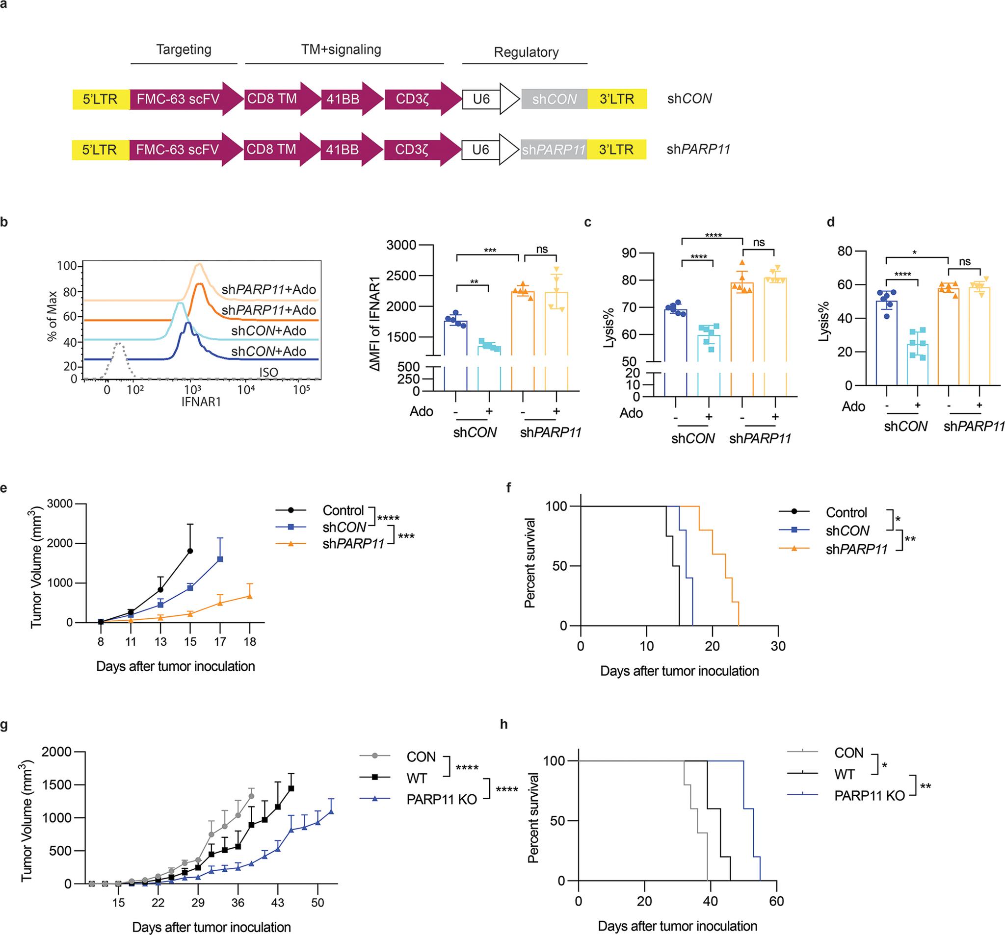 https://cdn.ncbi.nlm.nih.gov/pmc/blobs/8490/9339499/01b020260cc5/nihms-1800982-f0006.jpg