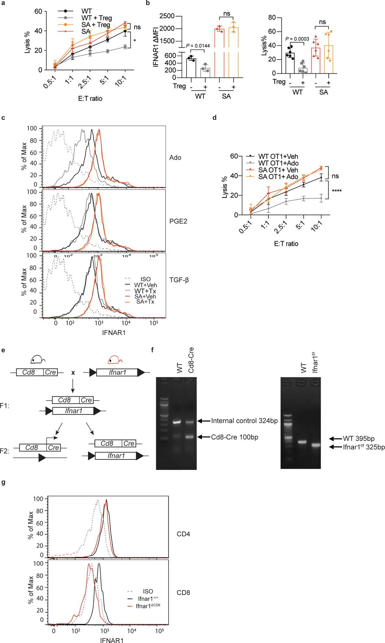 https://cdn.ncbi.nlm.nih.gov/pmc/blobs/8490/9339499/0de6df4d5d6a/nihms-1800982-f0009.jpg