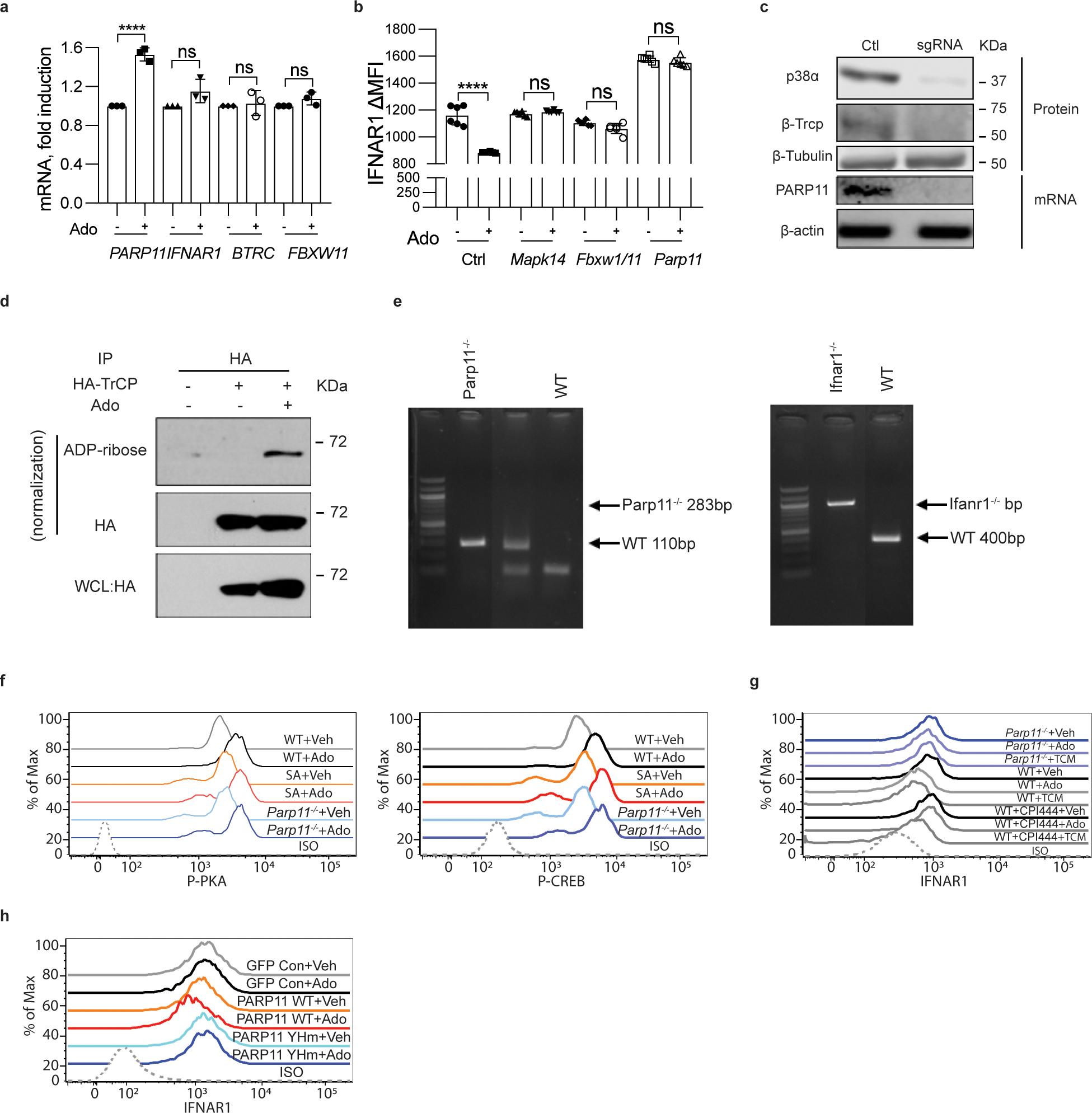 https://cdn.ncbi.nlm.nih.gov/pmc/blobs/8490/9339499/a4652b88379b/nihms-1800982-f0010.jpg
