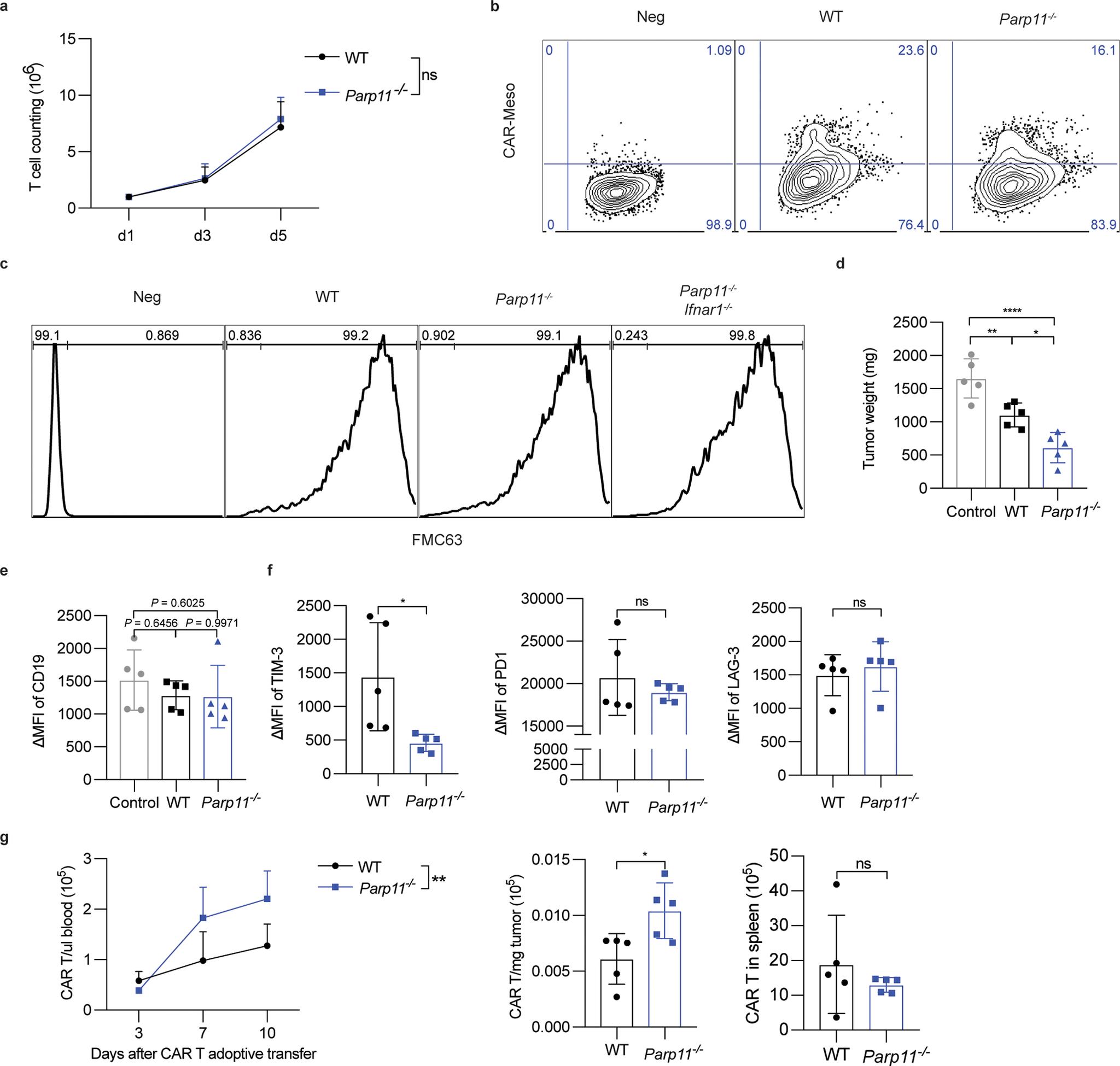 https://cdn.ncbi.nlm.nih.gov/pmc/blobs/8490/9339499/ad016e449e75/nihms-1800982-f0012.jpg