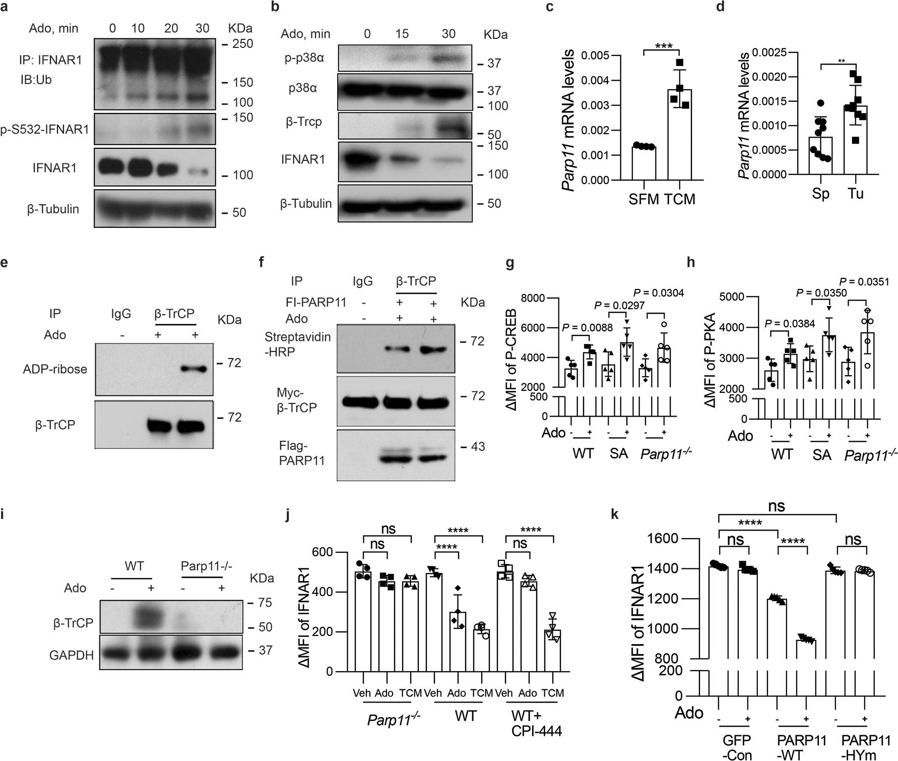 https://cdn.ncbi.nlm.nih.gov/pmc/blobs/8490/9339499/d707e13e2a10/nihms-1800982-f0003.jpg