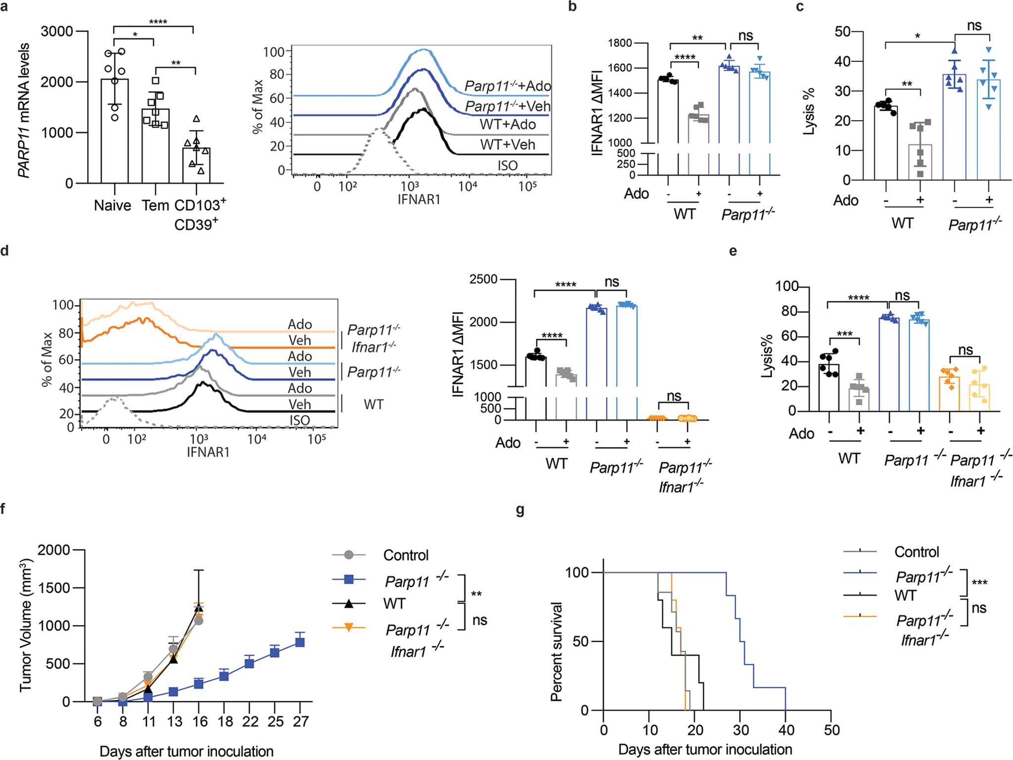 https://cdn.ncbi.nlm.nih.gov/pmc/blobs/8490/9339499/ffc7e04c9f32/nihms-1800982-f0005.jpg