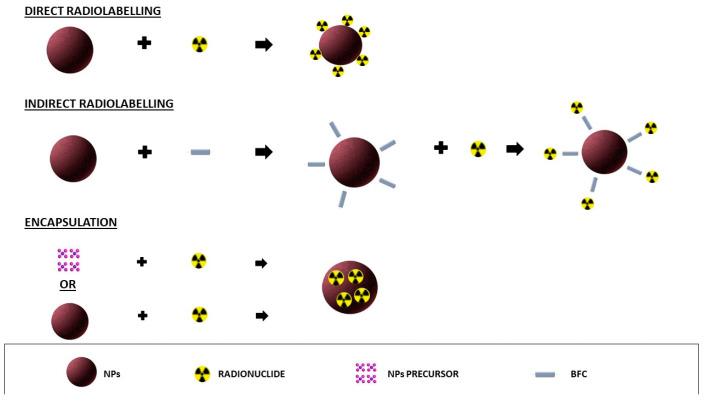 https://cdn.ncbi.nlm.nih.gov/pmc/blobs/8492/9599158/a8768d9cd74e/biomolecules-12-01522-g001.jpg