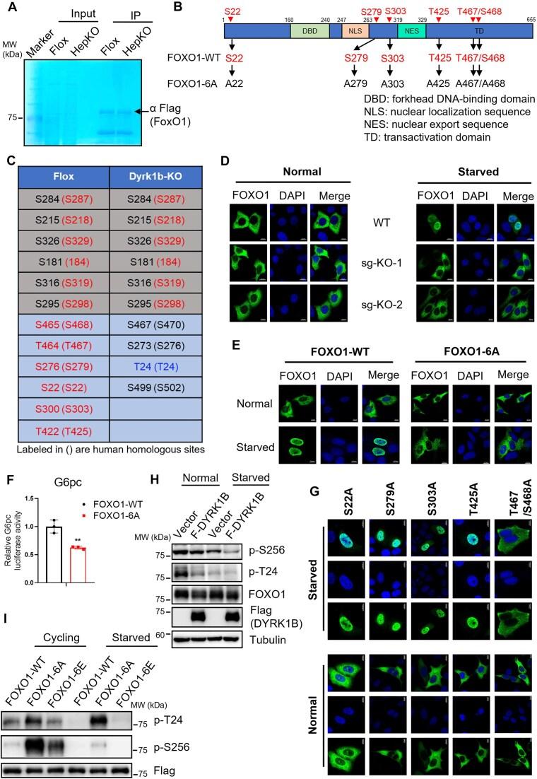 https://cdn.ncbi.nlm.nih.gov/pmc/blobs/8493/12034038/8098a896702e/gkaf319fig4.jpg