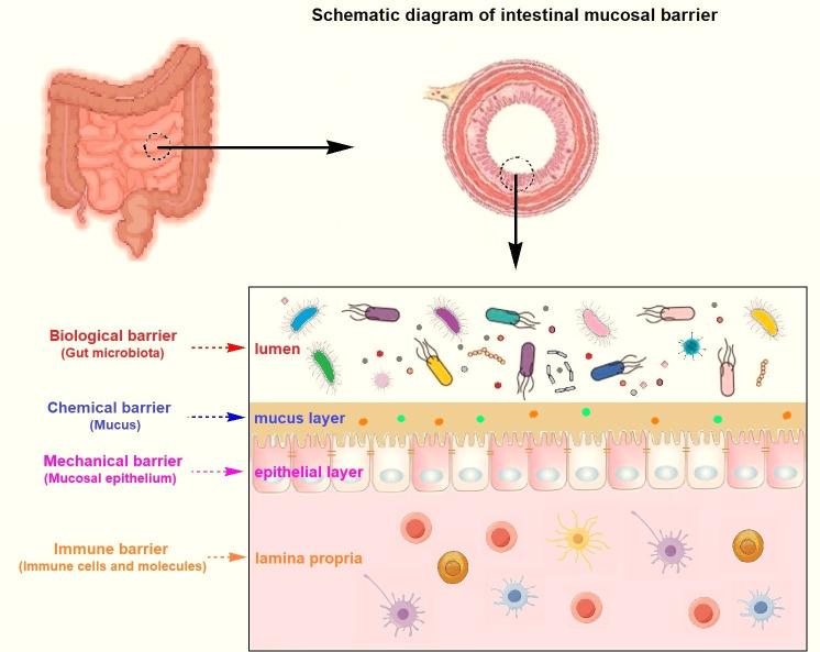 https://cdn.ncbi.nlm.nih.gov/pmc/blobs/8493/12285267/0702bb424c9d/aem.00372-25.f002.jpg
