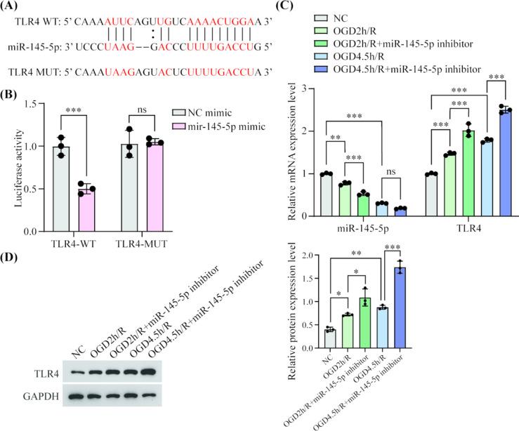 https://cdn.ncbi.nlm.nih.gov/pmc/blobs/8498/12075370/eaddfa4dbd7b/11011_2025_1613_Fig4_HTML.jpg