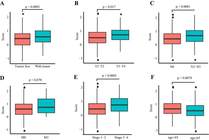 https://cdn.ncbi.nlm.nih.gov/pmc/blobs/8499/10991872/b2da8ce90cc5/262_2020_2817_Fig6_HTML.jpg